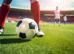 巴坎布护照,失窃,寻人者可共,PG官网,PG入口,PG平台,PG官方