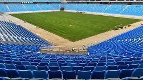 PG电子 资讯 142648 xv7